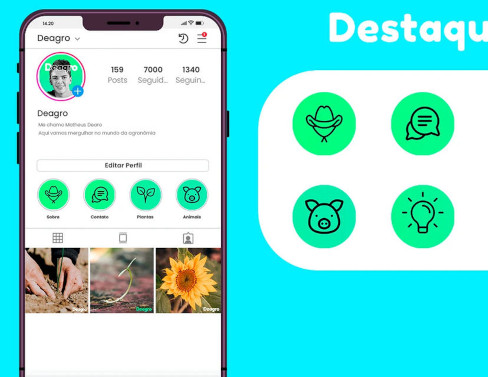 Projeto: Deagro - Social Media
